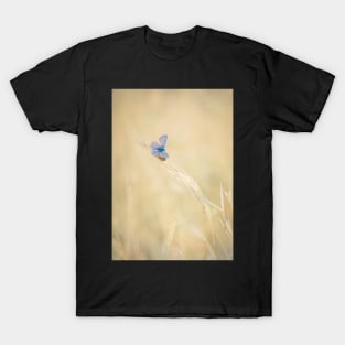 Common Blue Butterfly on Grass T-Shirt